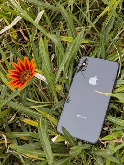 Apple iPhone X PTA APROVED. 10/10Condition