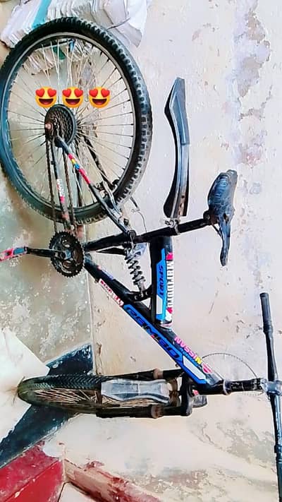 bicycle  sports cycle