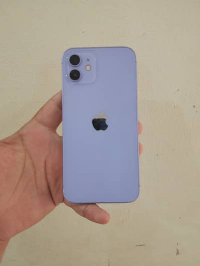 Apple iPhone 12