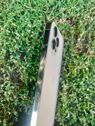 Apple iPhone 12 Pro Max