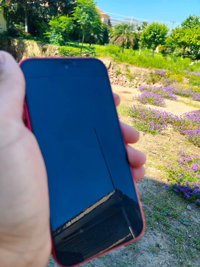 iPhone 12 4