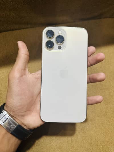 Apple iPhone 13 Pro Max
