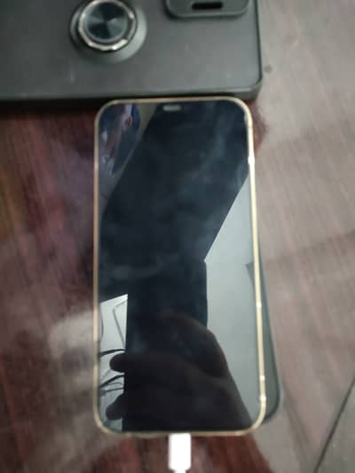 Apple iPhone 12 Pro Max