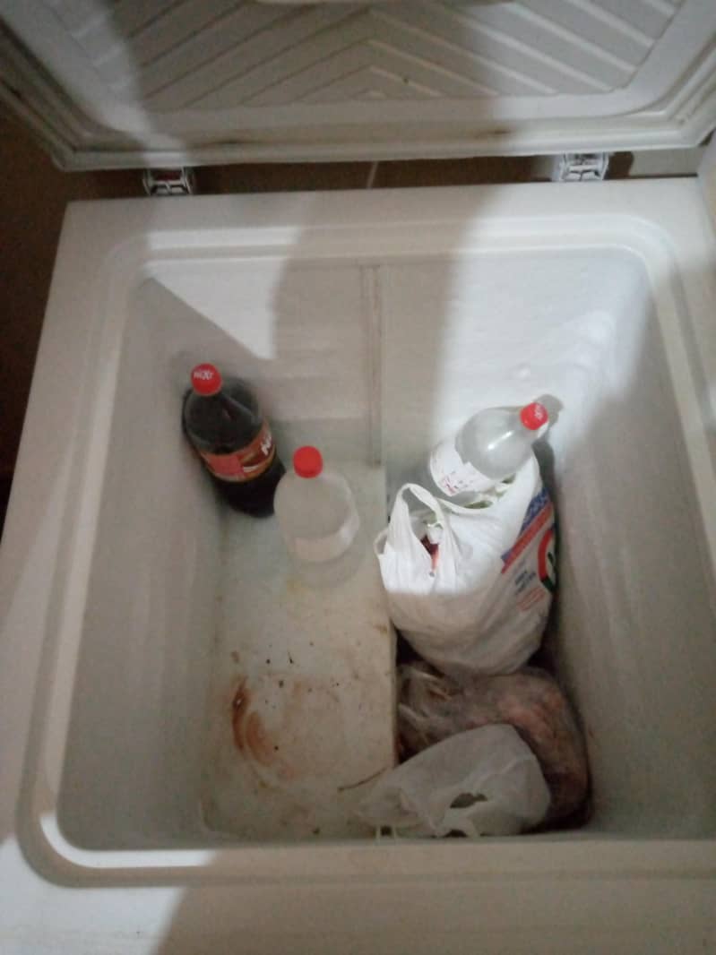 freezer 4