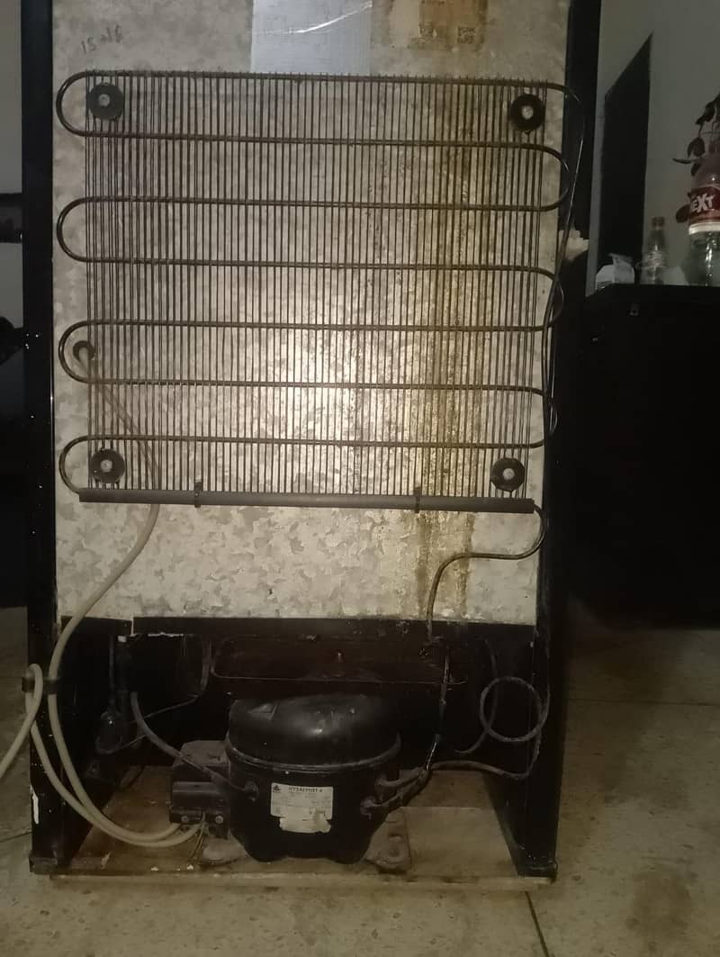 mini fridge 1