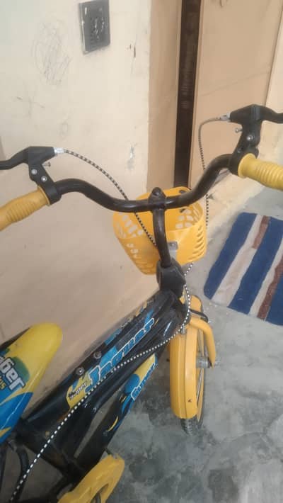 25 inch super jaguar cycle