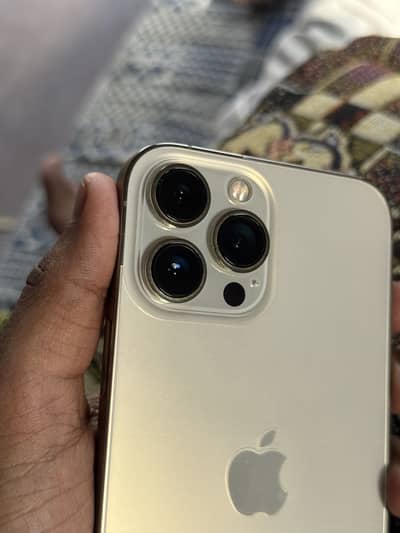 Apple iPhone 13 Pro Max