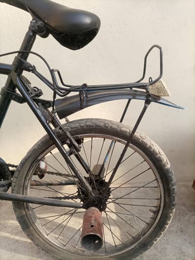 phonix cycle