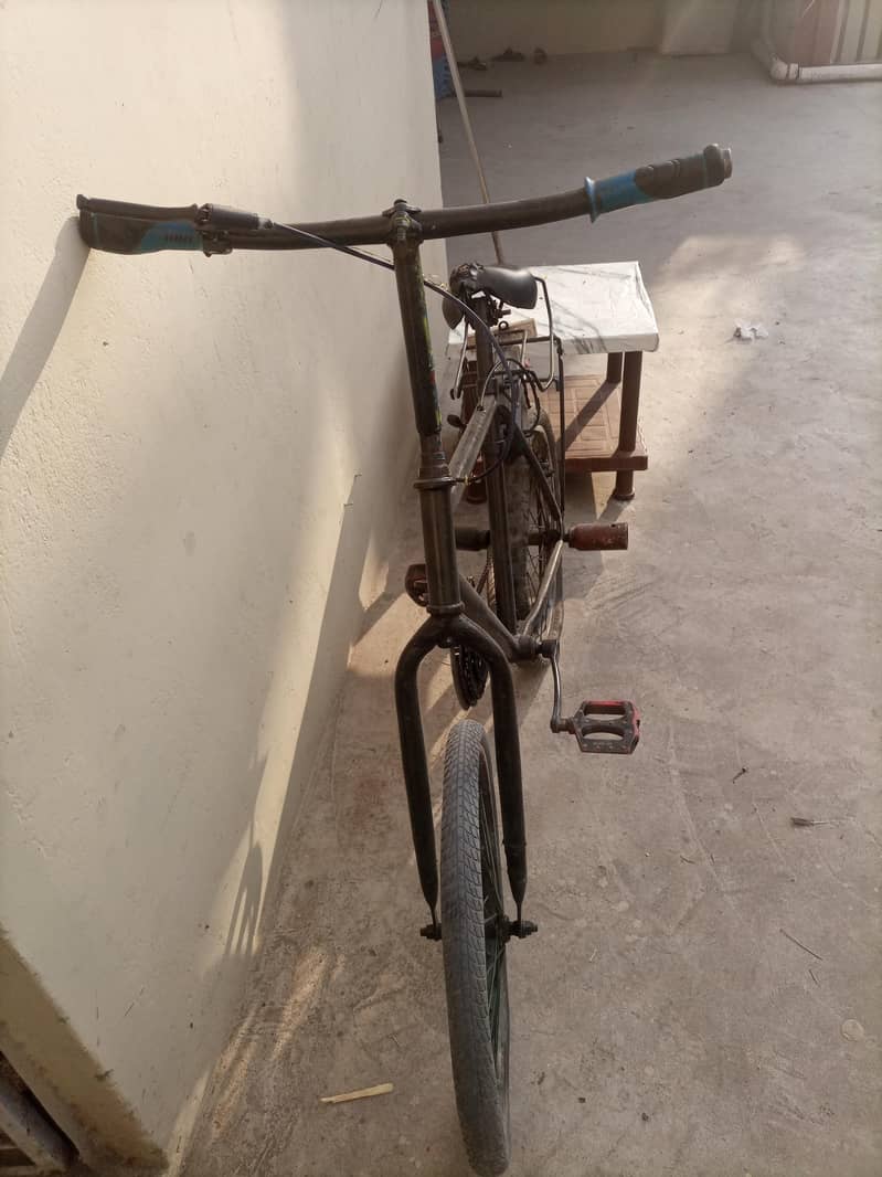 phonix cycle 2