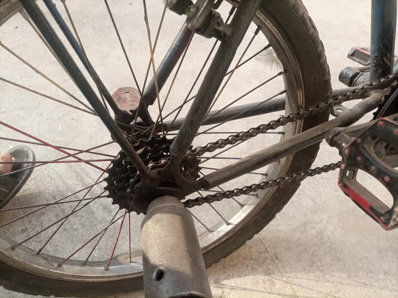 phonix cycle 5