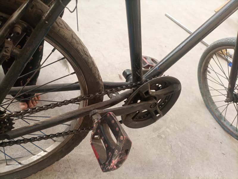 phonix cycle 6