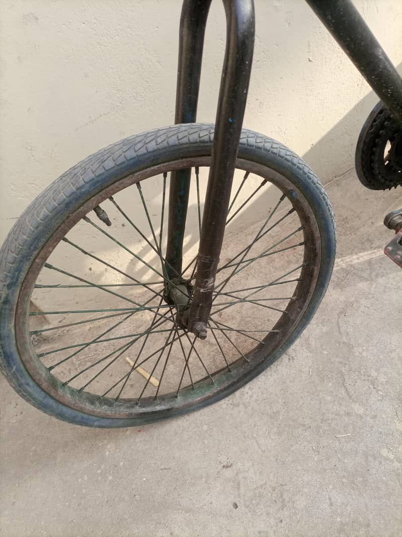 phonix cycle 8