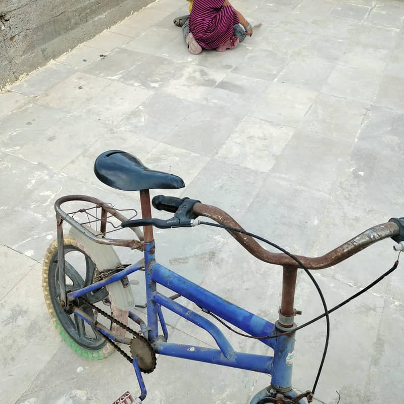 bicycle 0