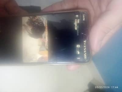 turky breedr pir urgent for sell. 03097611068