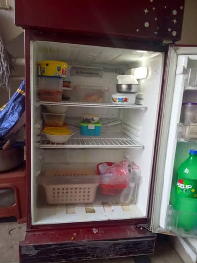 PEL Glass Door Refrigerator