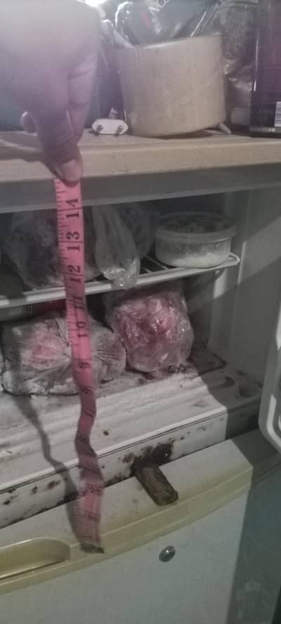 Gold star refrigerator&freezer for sale