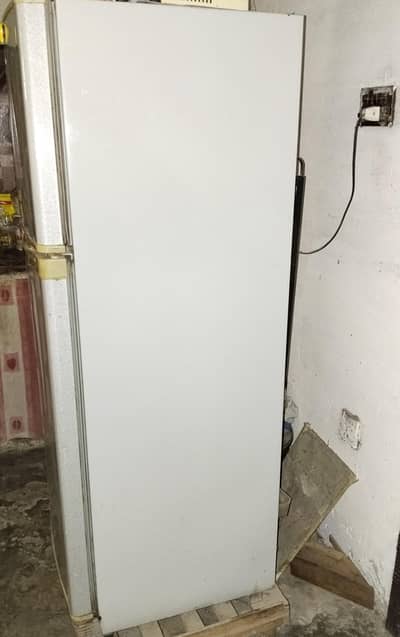 purchase a new freezer