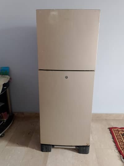 haeir fridge medium size
