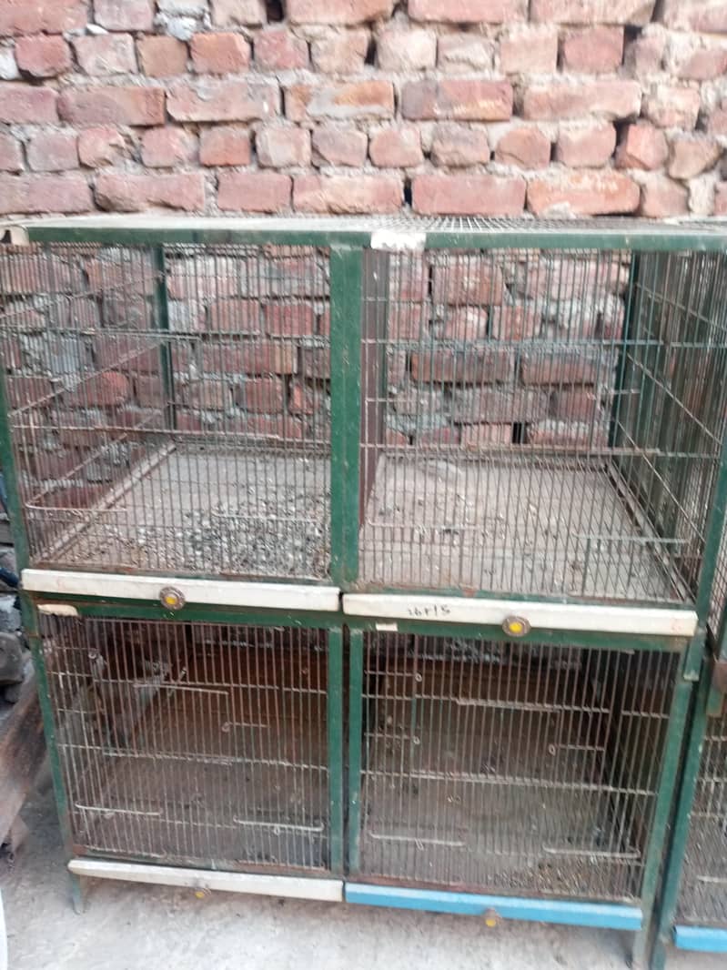 cages 1
