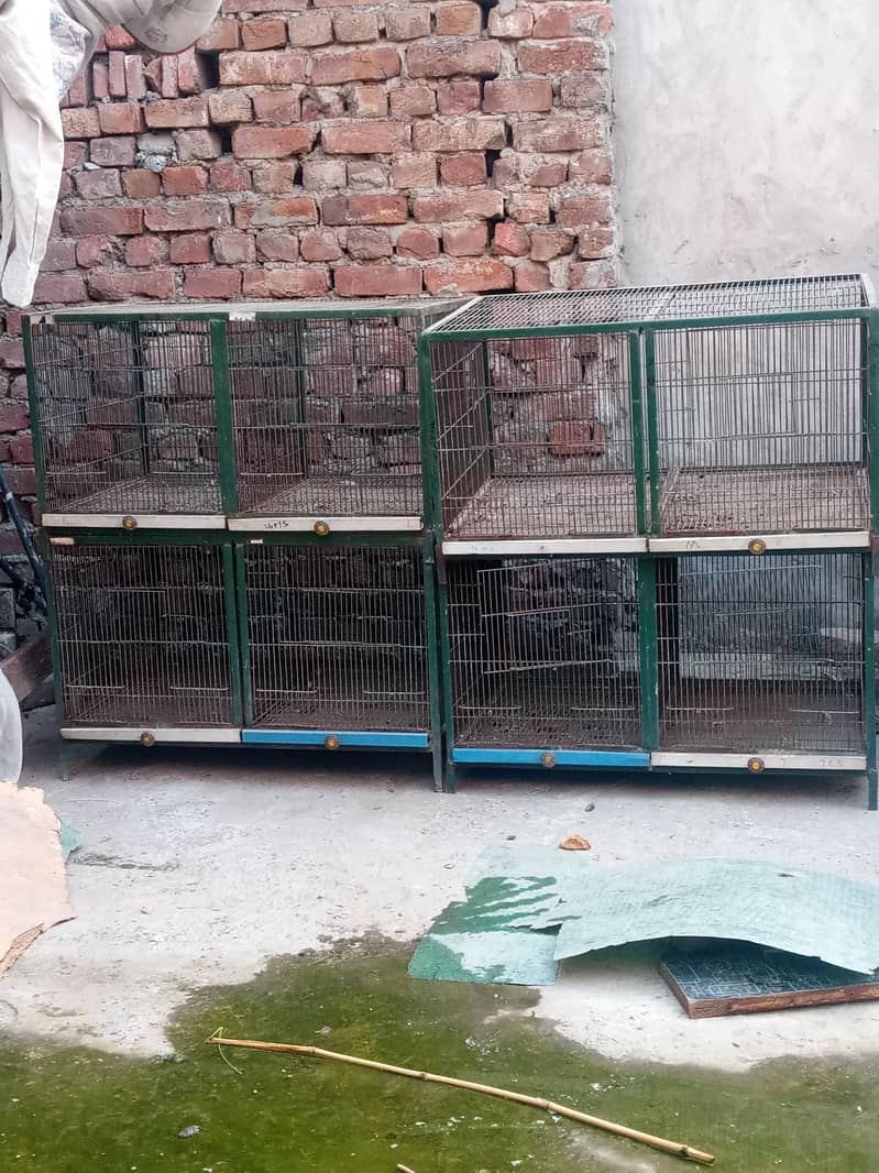 cages 3