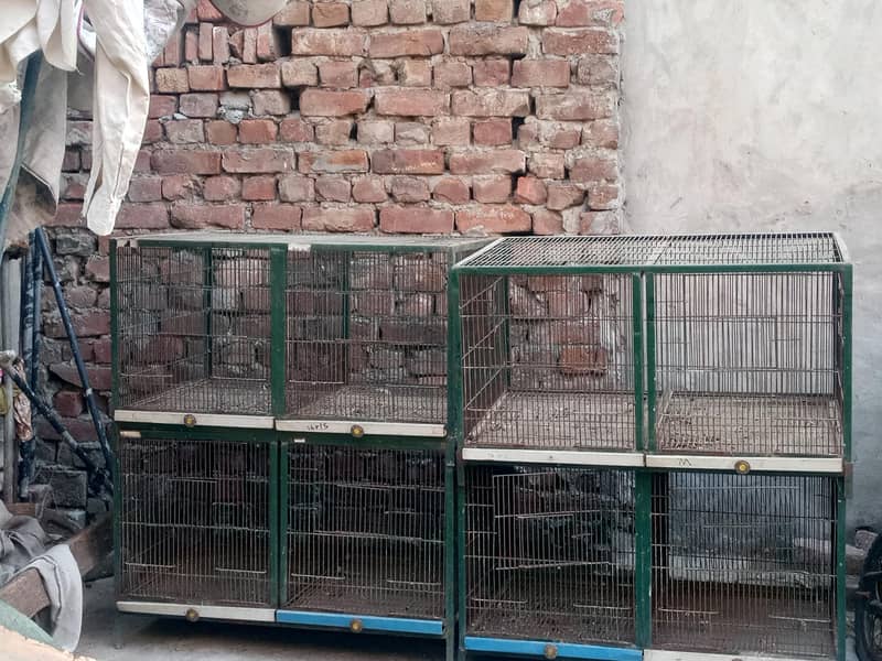 cages 4
