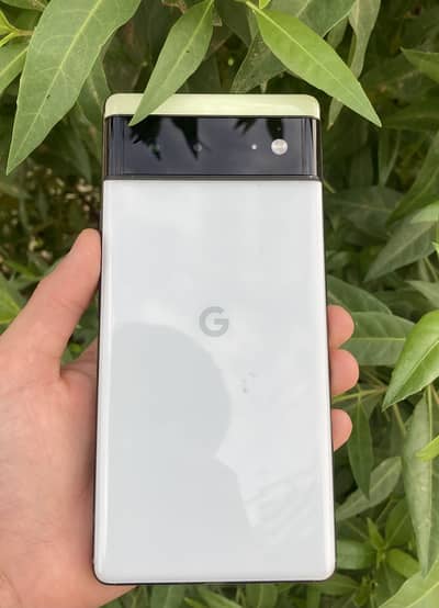 Pixel 6 officially PTA APPROVED