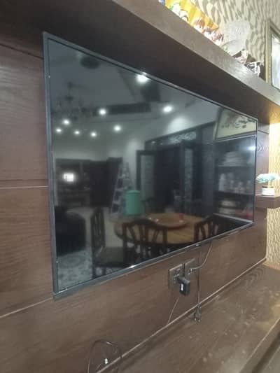 TCL 50p615 panel not working