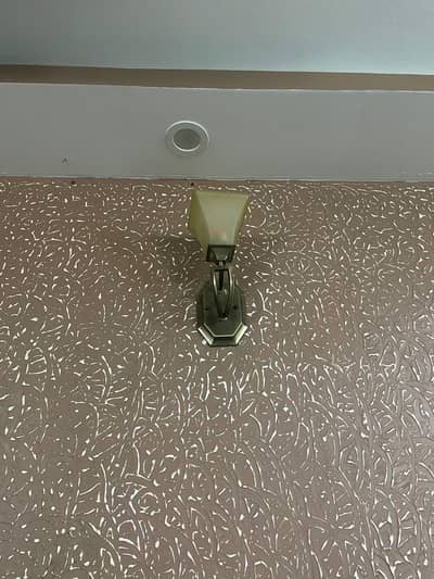 fancy stylish lights pairs with resolonable  rates