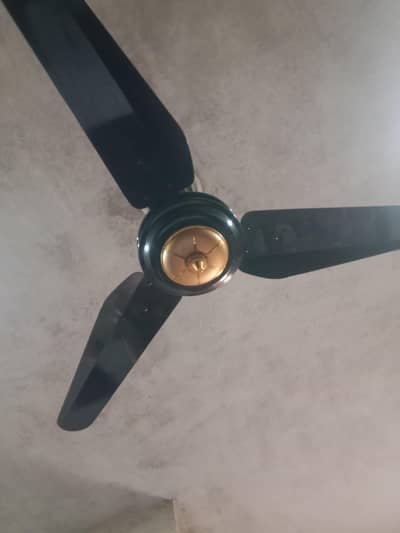 6 fans available sonex Orr sk fans ha sab