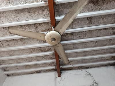 fan for sale
