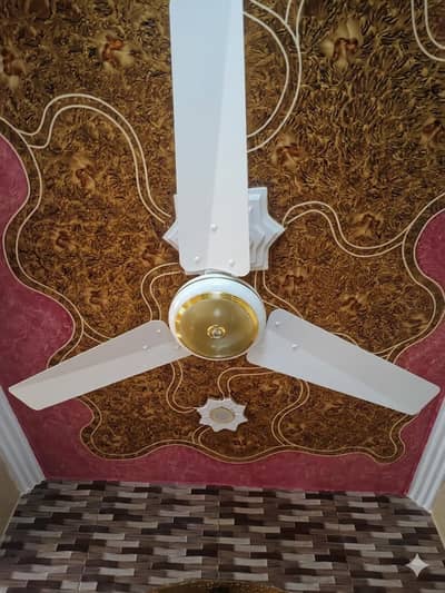 ceiling fans