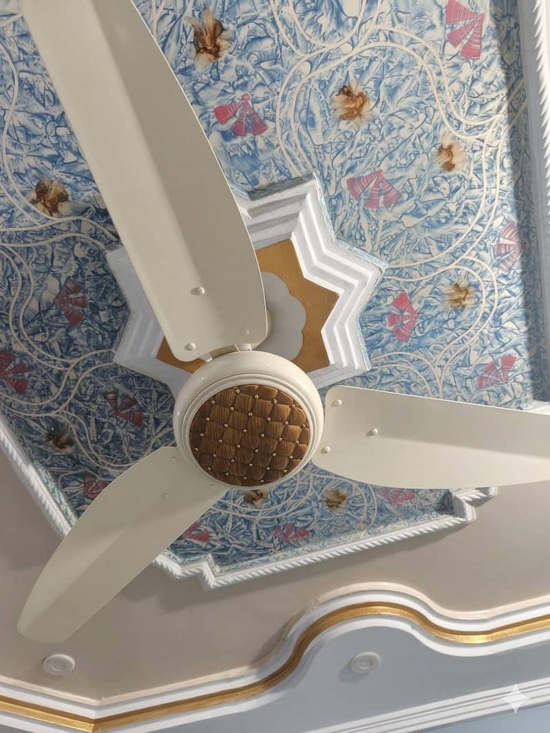 ceiling fans 1