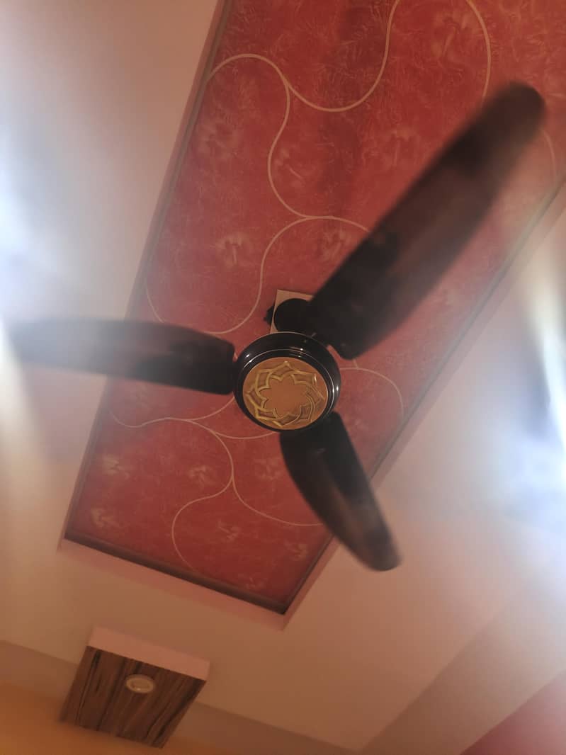 ceiling fans 2