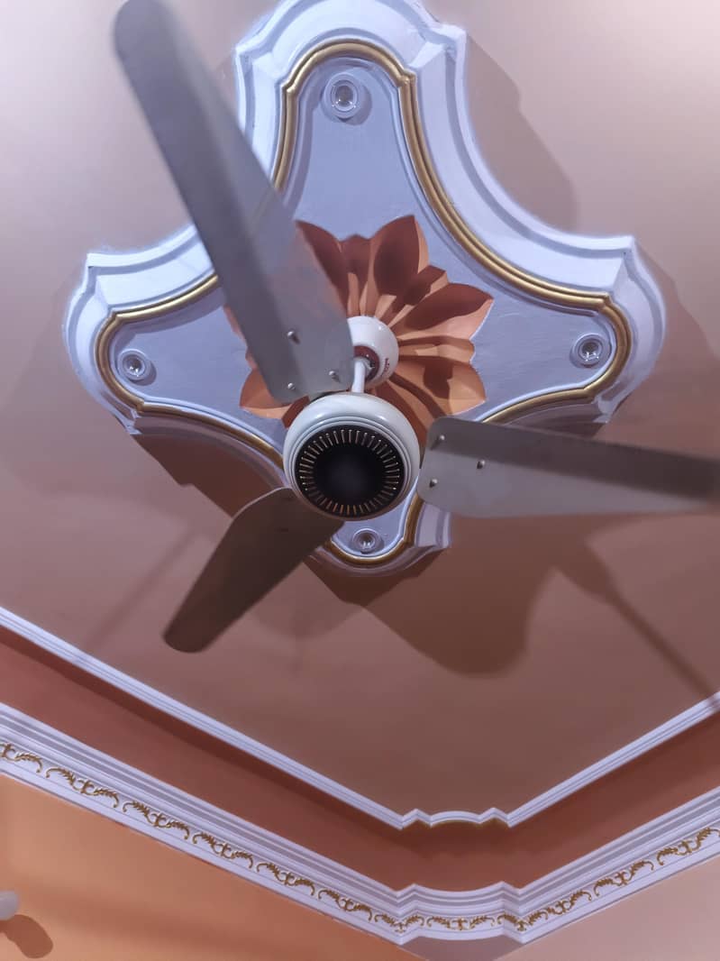 ceiling fans 3