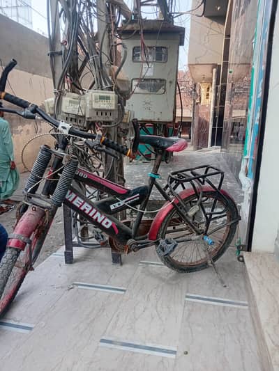 merino bicyicle