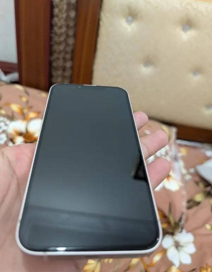 Apple iPhone 13 0
