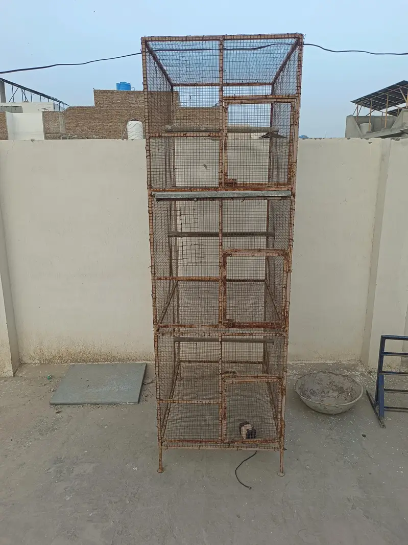 Cages for sale best for Parrot, Cats, Hen, Pigeon other animals Cage — photo 3