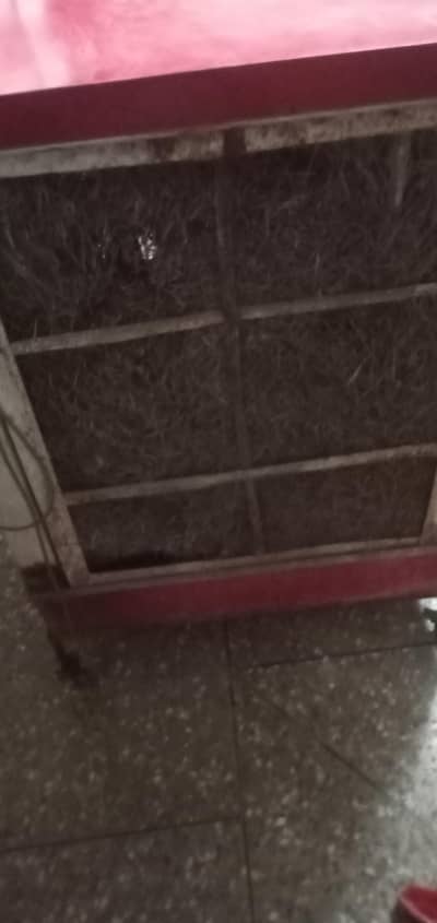 lahori cooler