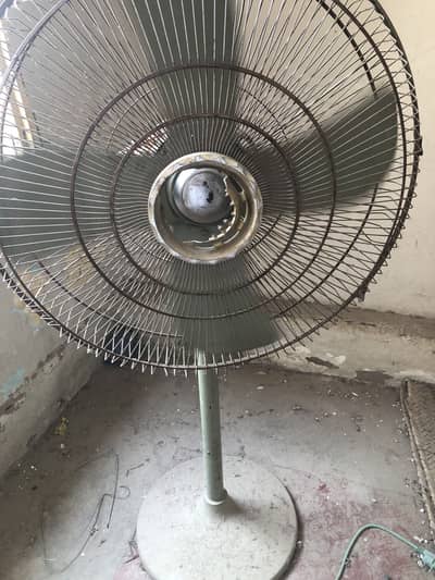Pedestal Fan