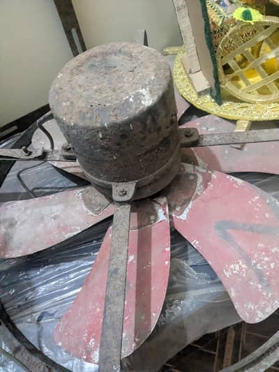 GFC copper fan 24"