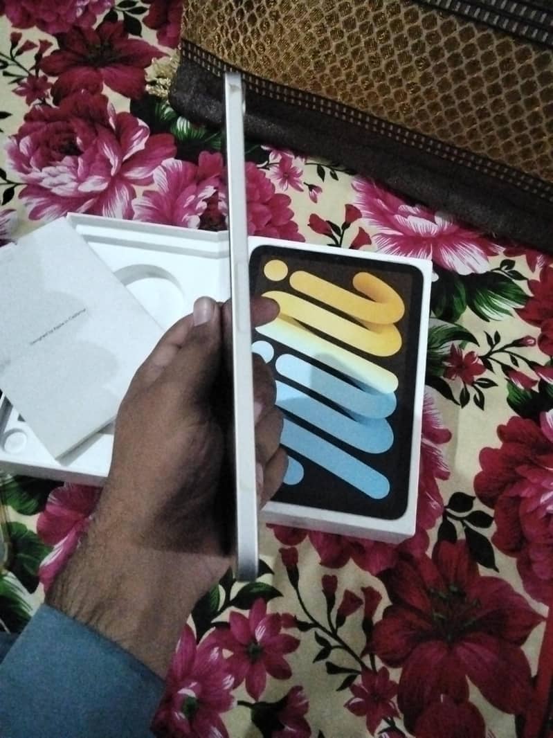 Apple 2