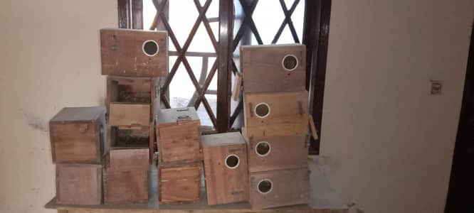 Lovebird High Quality Breeding Box