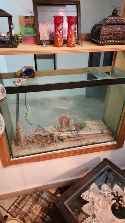 Aquarium With Accessories