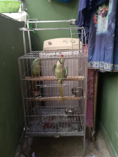 pahadi tote ka joda hai