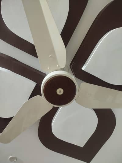 Ceiling Fans, SK Company like new