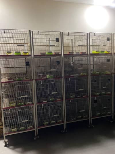 4 PORTION CAGES