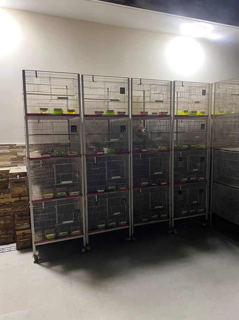 4 PORTION CAGES 1