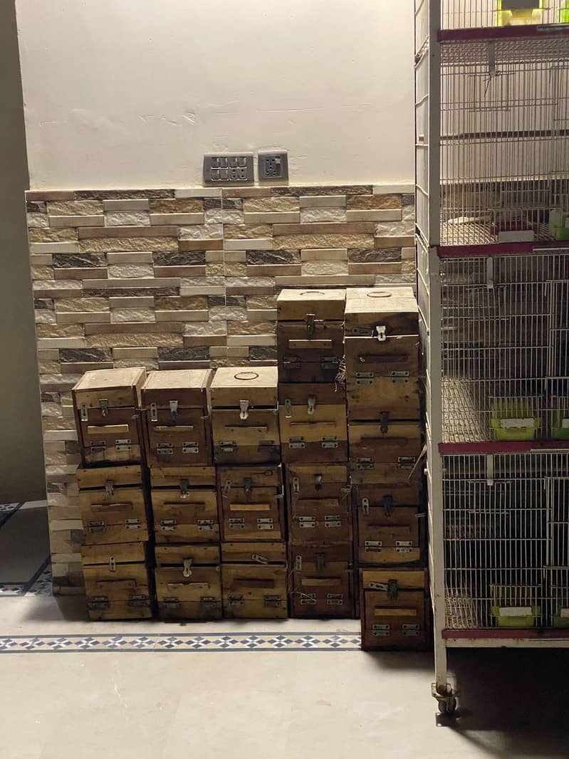 4 PORTION CAGES 2