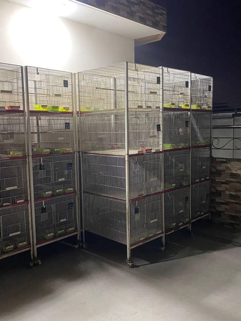 4 PORTION CAGES 3