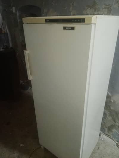 ignis Vertical freezer